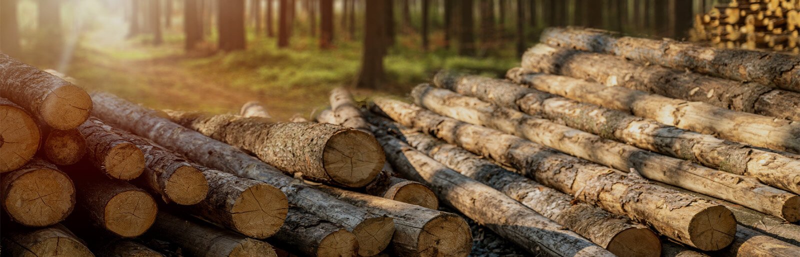 Kæmper udvalg af træ og træprodukter