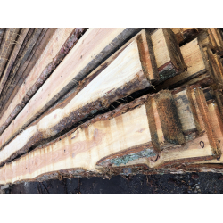 Kalmarbrdder 25 mm "mini"