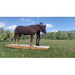 stor billede - Hestevippe 1,2x3 m.