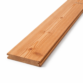 21x145 mm Douglas TGV - 4,2 m ru forside