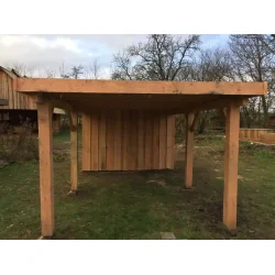 Husk trolie og maling til carporten med ensidet taghldning. 