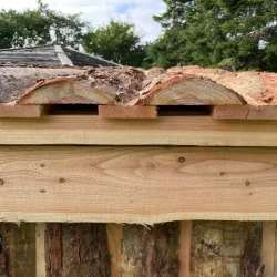 Den lave pris p Dansk Skovshelte XL afspejler dette og gr det muligt for os at tilbyde en af de bedste priser p markedet!