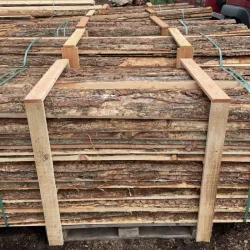 Sorterede skaller i ramme 4,2 m. - ca. 50-70 stk.