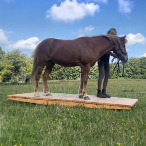 Hestevippe 1,2x3 m. fra Oksbl Savvrk