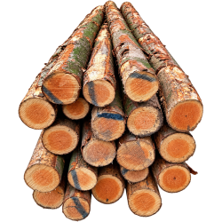 Douglas stamme �15-20 cm x 3,65 m.
